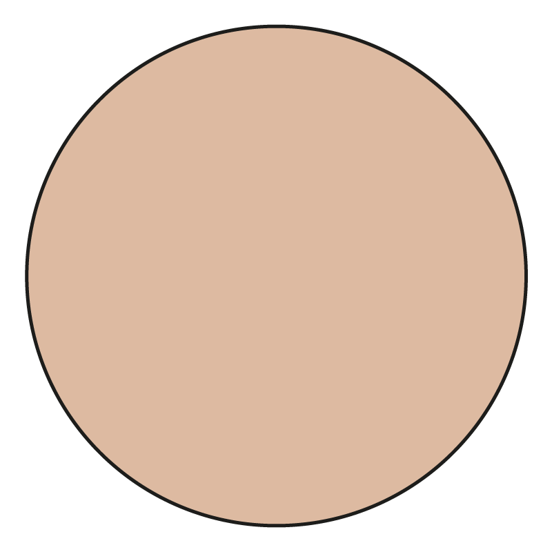 Colorescience - Unforgettable - Total Protection - Face Shield Flex SPF 50 Medium - Imagen 2